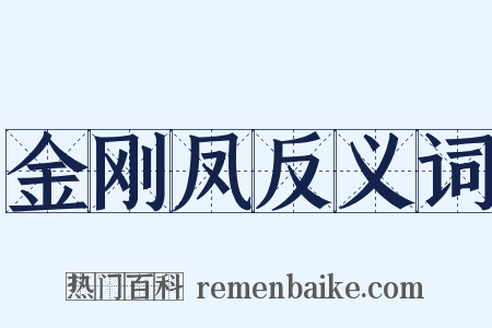 金刚凤反义词是什么意思的图片